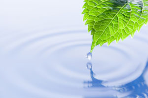 bild_mindfullness